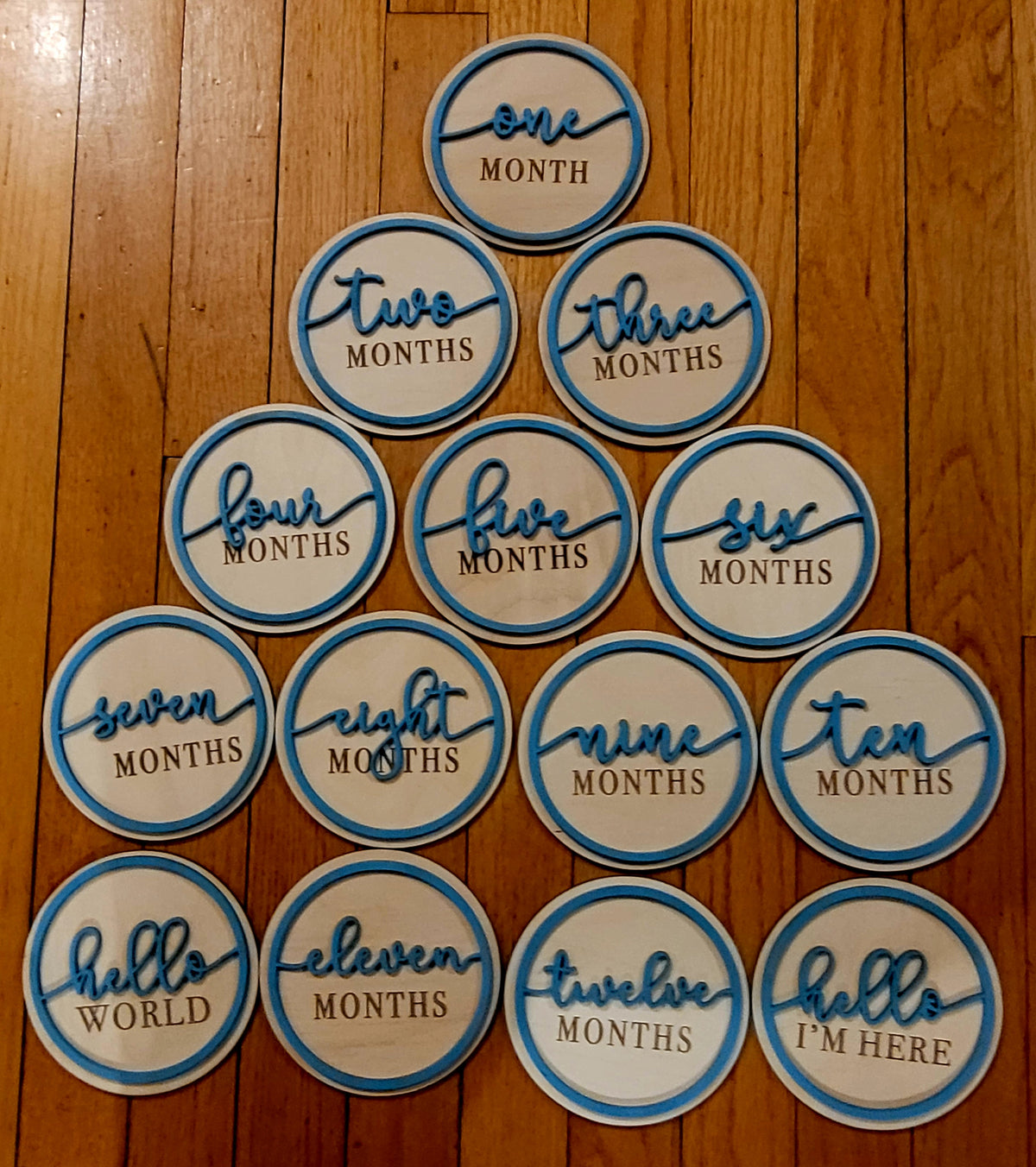 Baby Milestone Discs